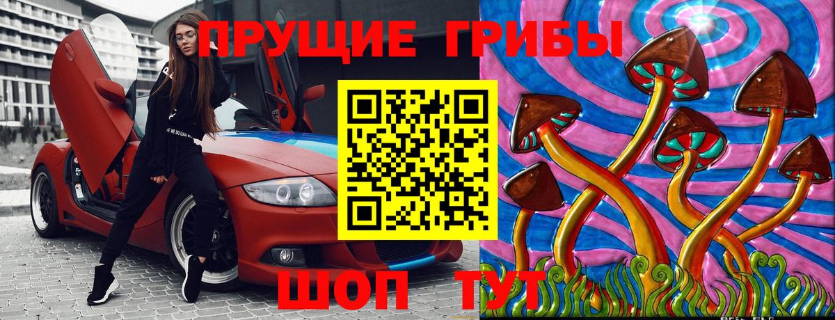Галлюциногенные грибы Psilocybe  Вход с VPN  Дзержинск  Галлюциногенные грибы GOLDEN TEACHER 