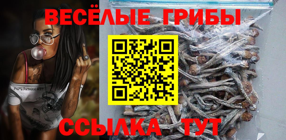 Псилоцибиновые грибы Cubensis Дзержинск